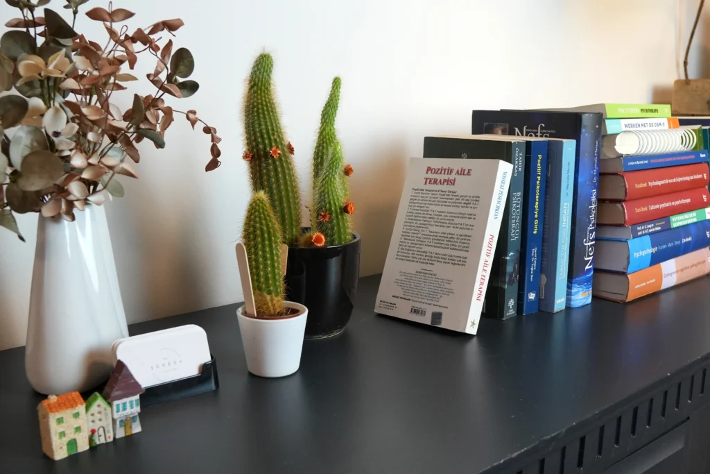 Therapie bij Psycholoog Suheda